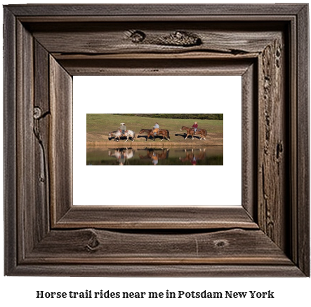 horse trail rides near me in Potsdam, New York